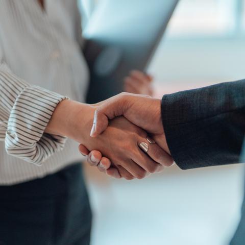Clients & Partnerships